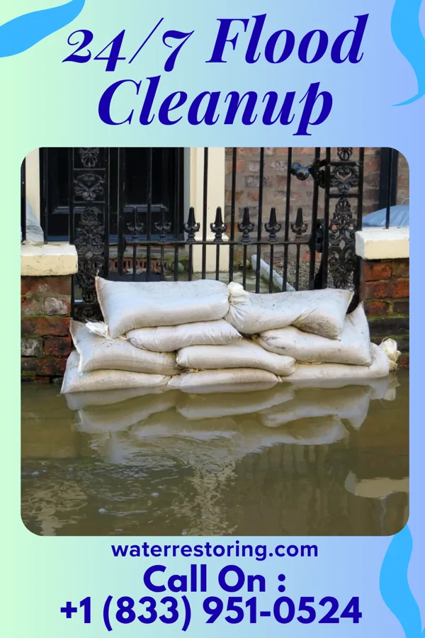 24/7 Flood Cleanup in Pike Creek Valley, DE