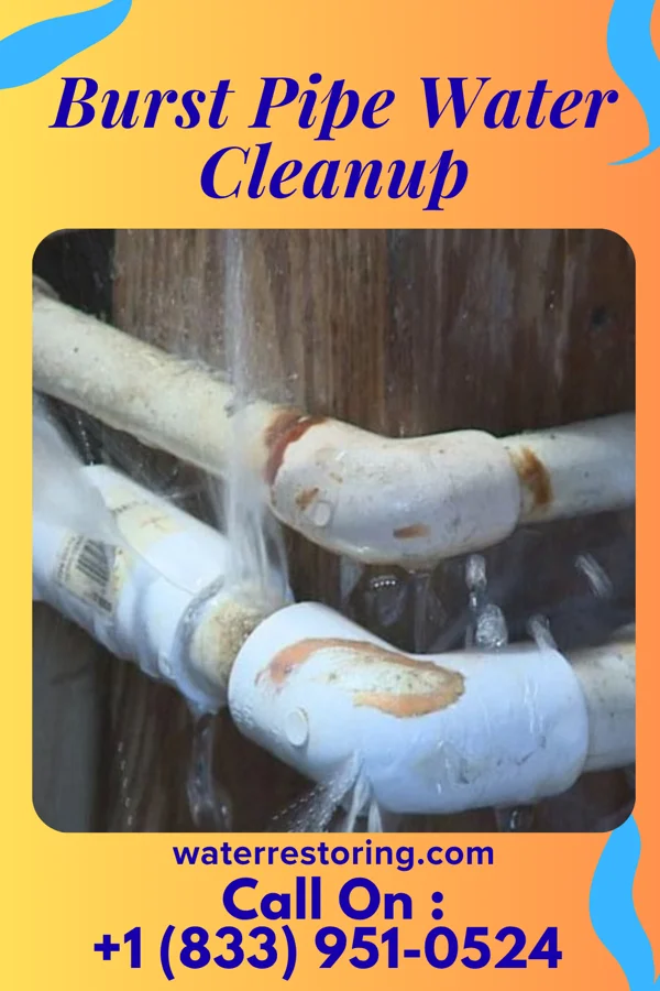 Burst Pipe Water Cleanup in Pike Creek Valley, DE