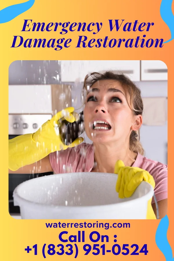 Emergency Water Damage Restoration in Pike Creek Valley, DE