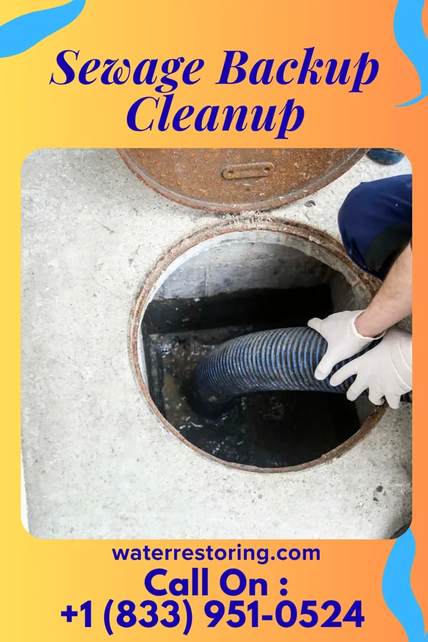 Sewage Backup Cleanup in Pike Creek Valley, DE