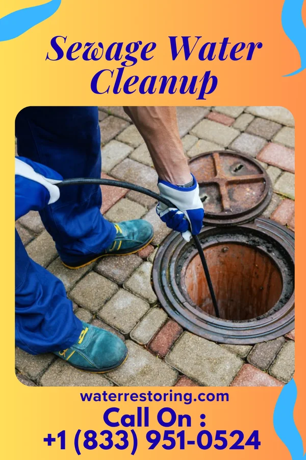 Sewage Water Cleanup in Pike Creek Valley, DE
