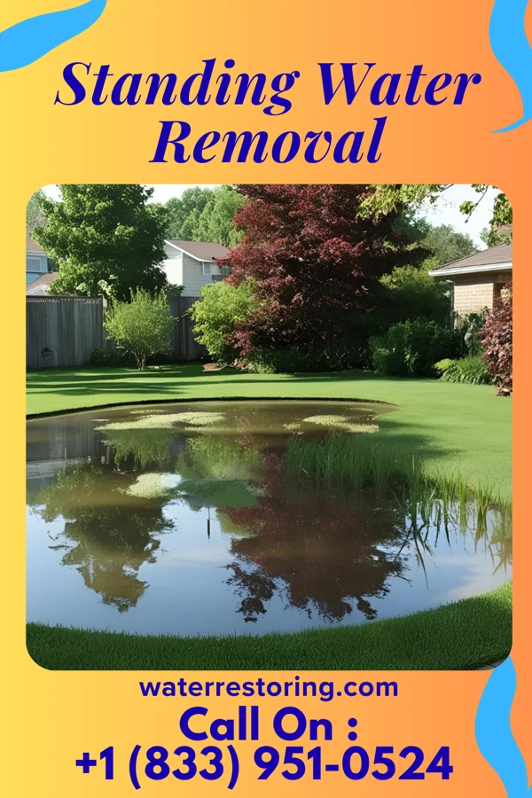 Standing Water Removal in Pike Creek Valley, DE
